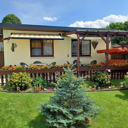 Ferienwohnung-Ullmann Ehrenfriedersdorf Exteriér fotografie